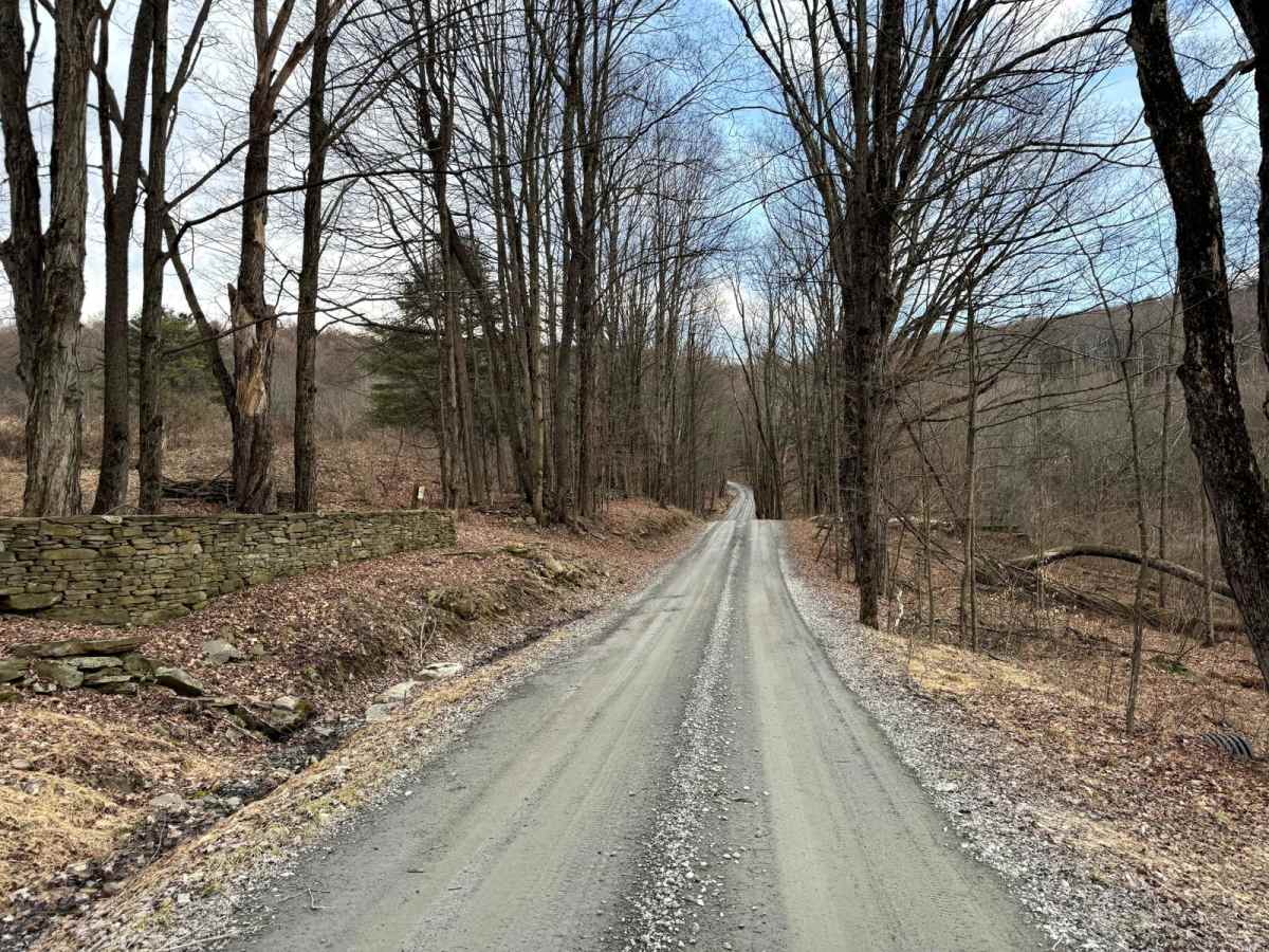 Kelly Road photo 5