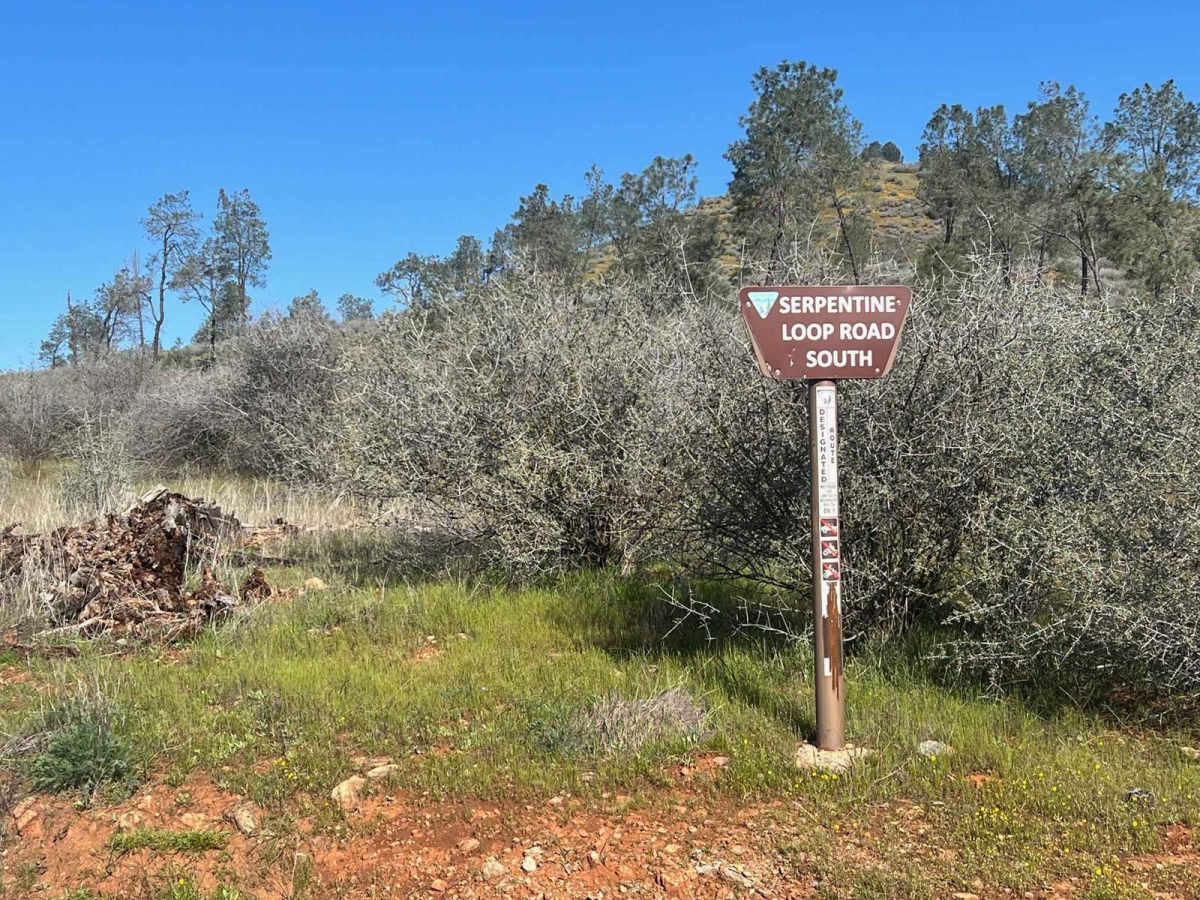 Red Hills Road/Serpentine loop photo 2