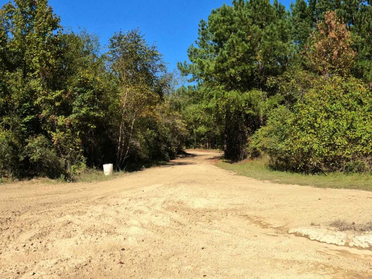 Jamey's Swamp Road trail photo