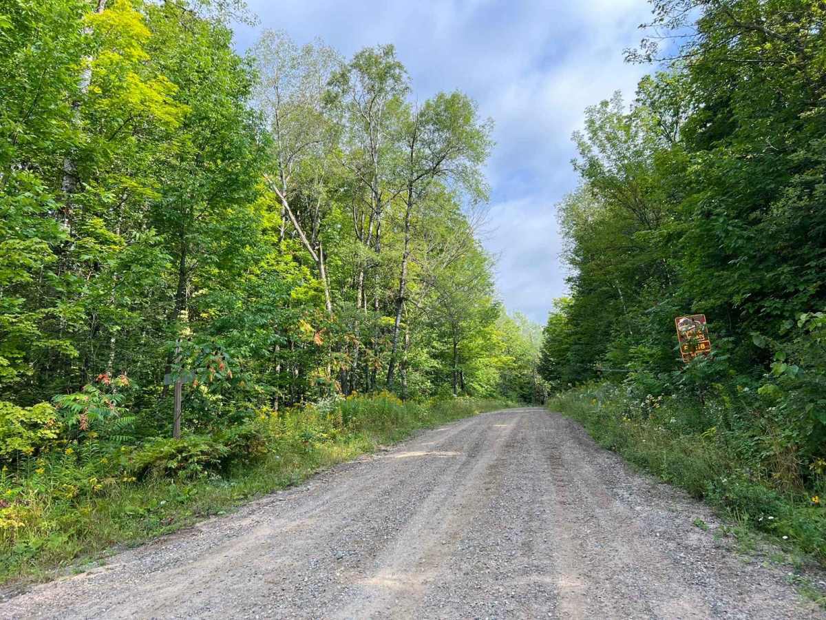 Indian Market Road - FS 2139 photo 3