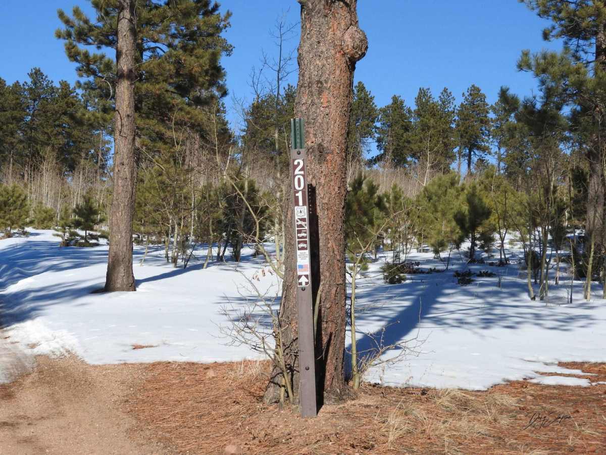 Forest Road 201 trail photo