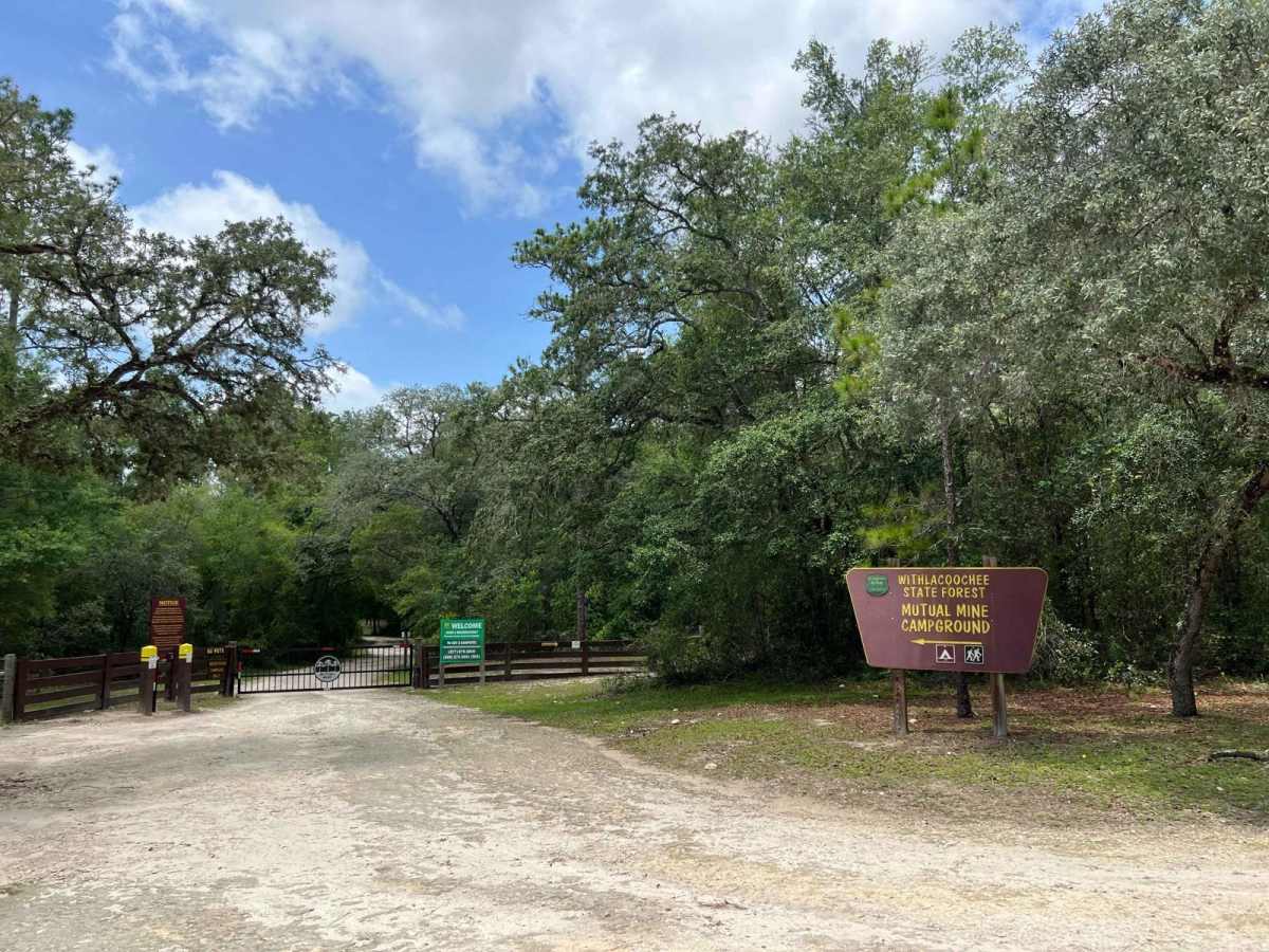 Citrus Wildlife Management | Trail 16 trail photo