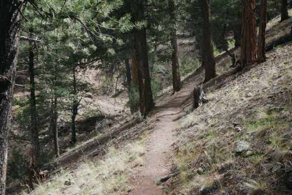 Palisade Trail