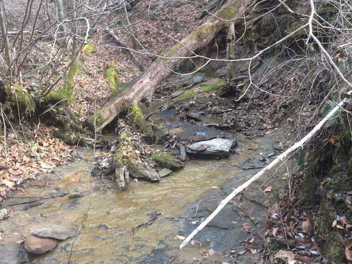 Albright photo 5