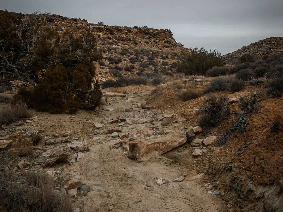 Cedar Mountain Canyon photo 2