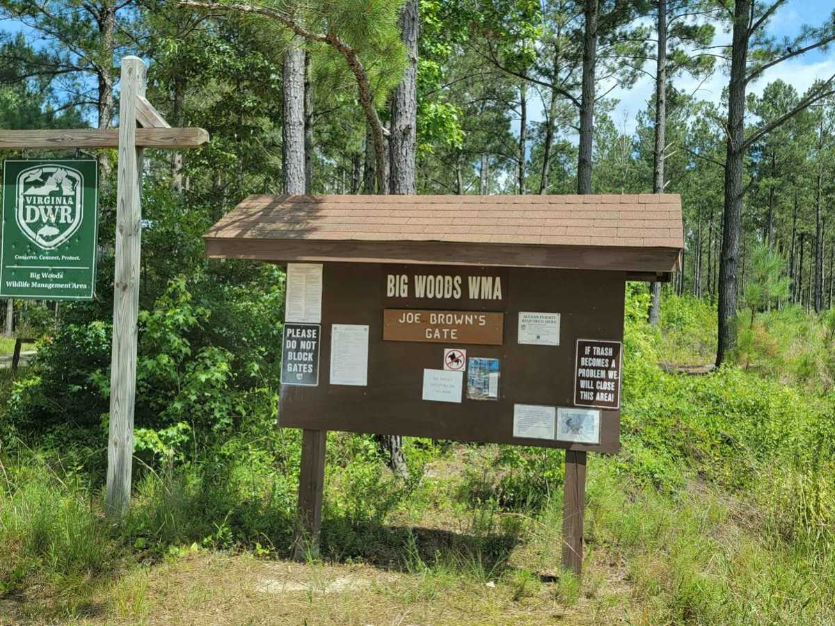 Big Woods Loop photo 5