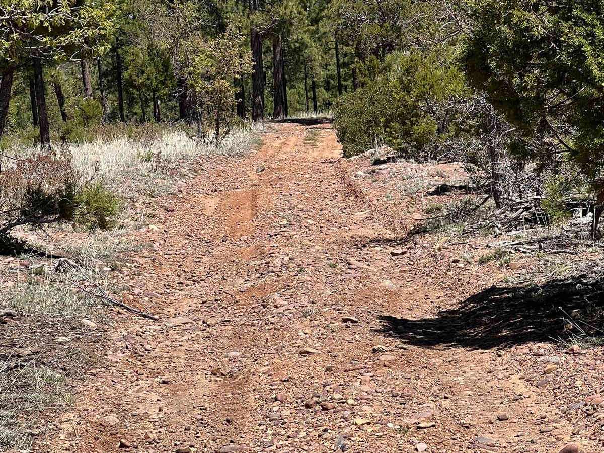 Fir Point View photo 4