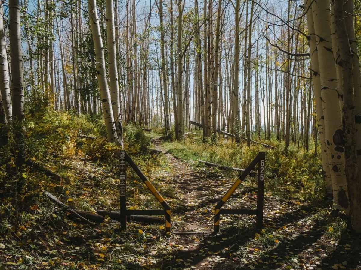Upper Bench Trail photo 3
