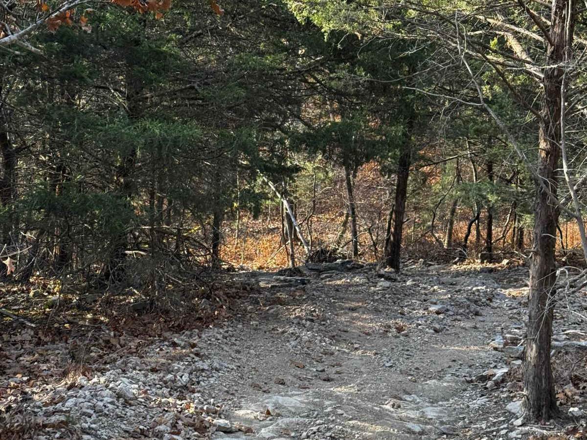 Bluff Run photo 2