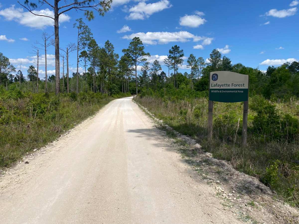 Road 1 trail photo