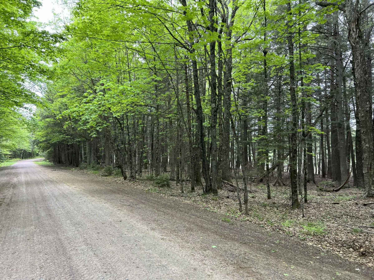 Pine River FR 2182 photo 5
