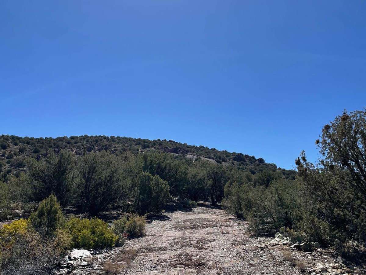 Stoddard Mine trail photo
