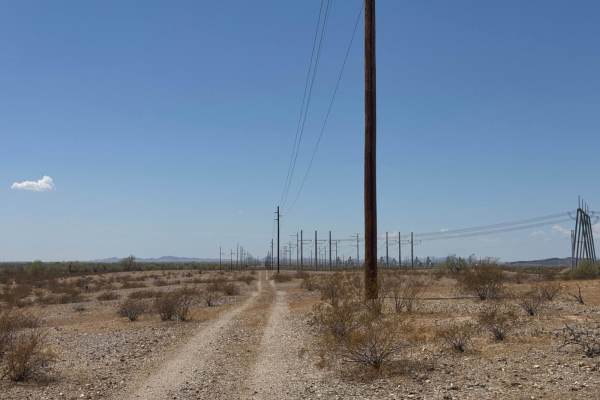 The Buzz of Gila Bend