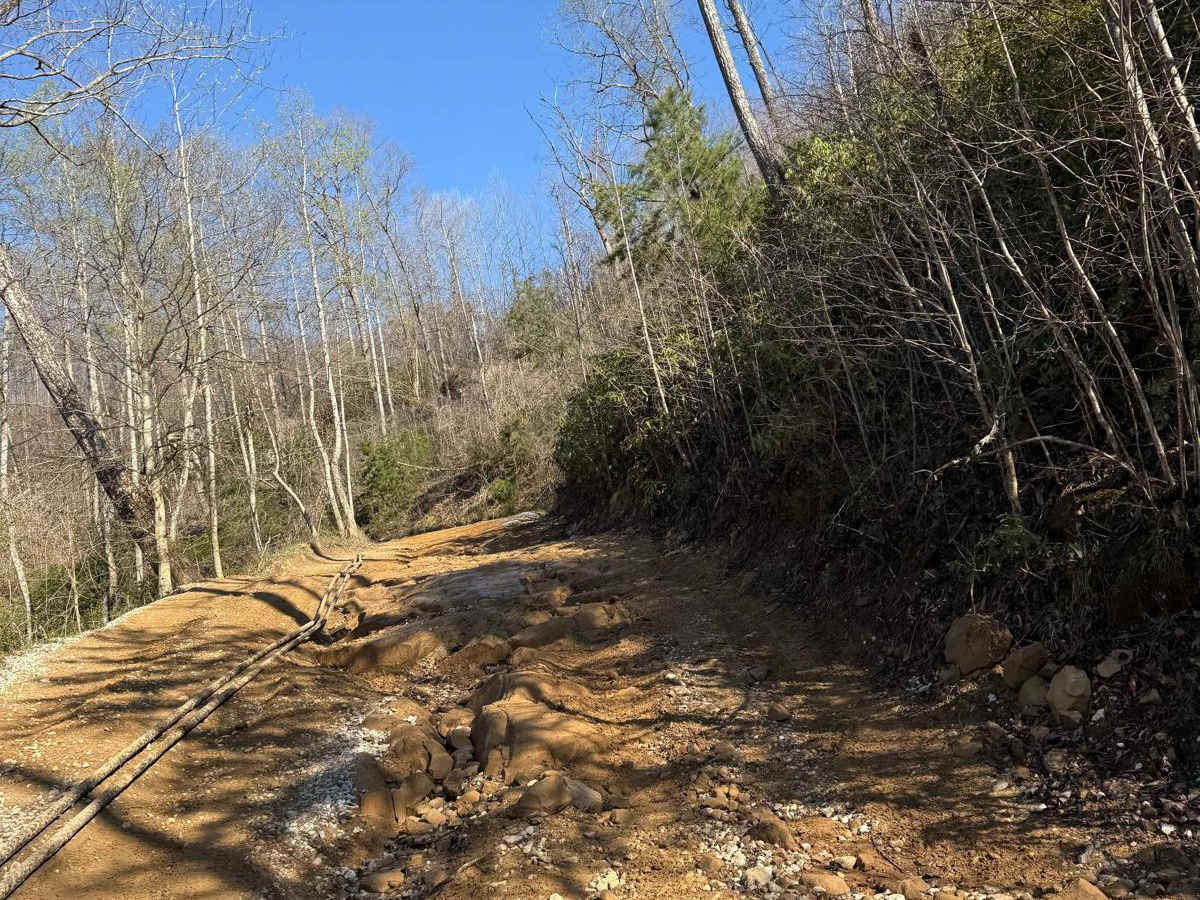 Trail 1 photo 5