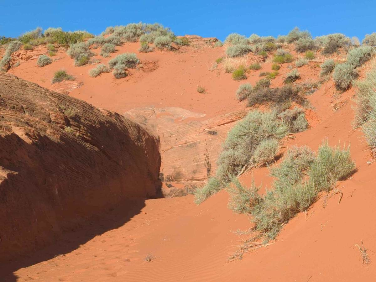 TNT Extended trail photo