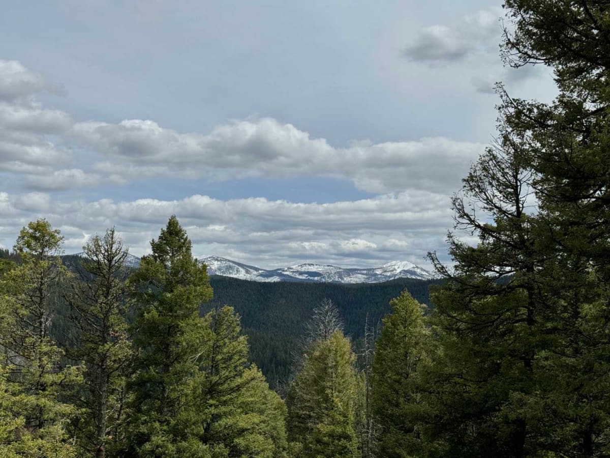 Railroad Creek photo 2