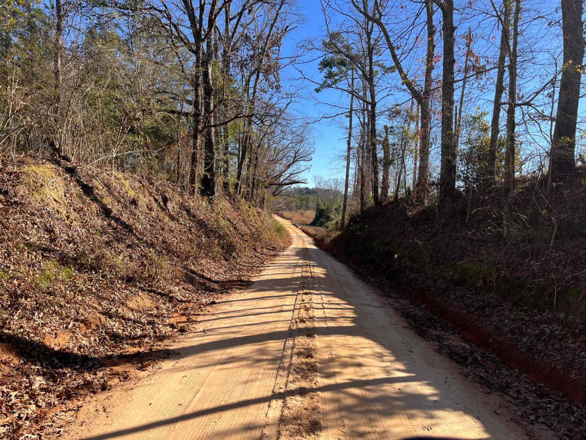 Red Shadow Road photo 5