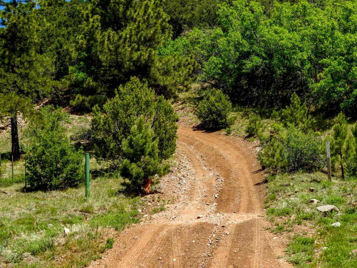 Salt Creek Forest Road 409 photo 4