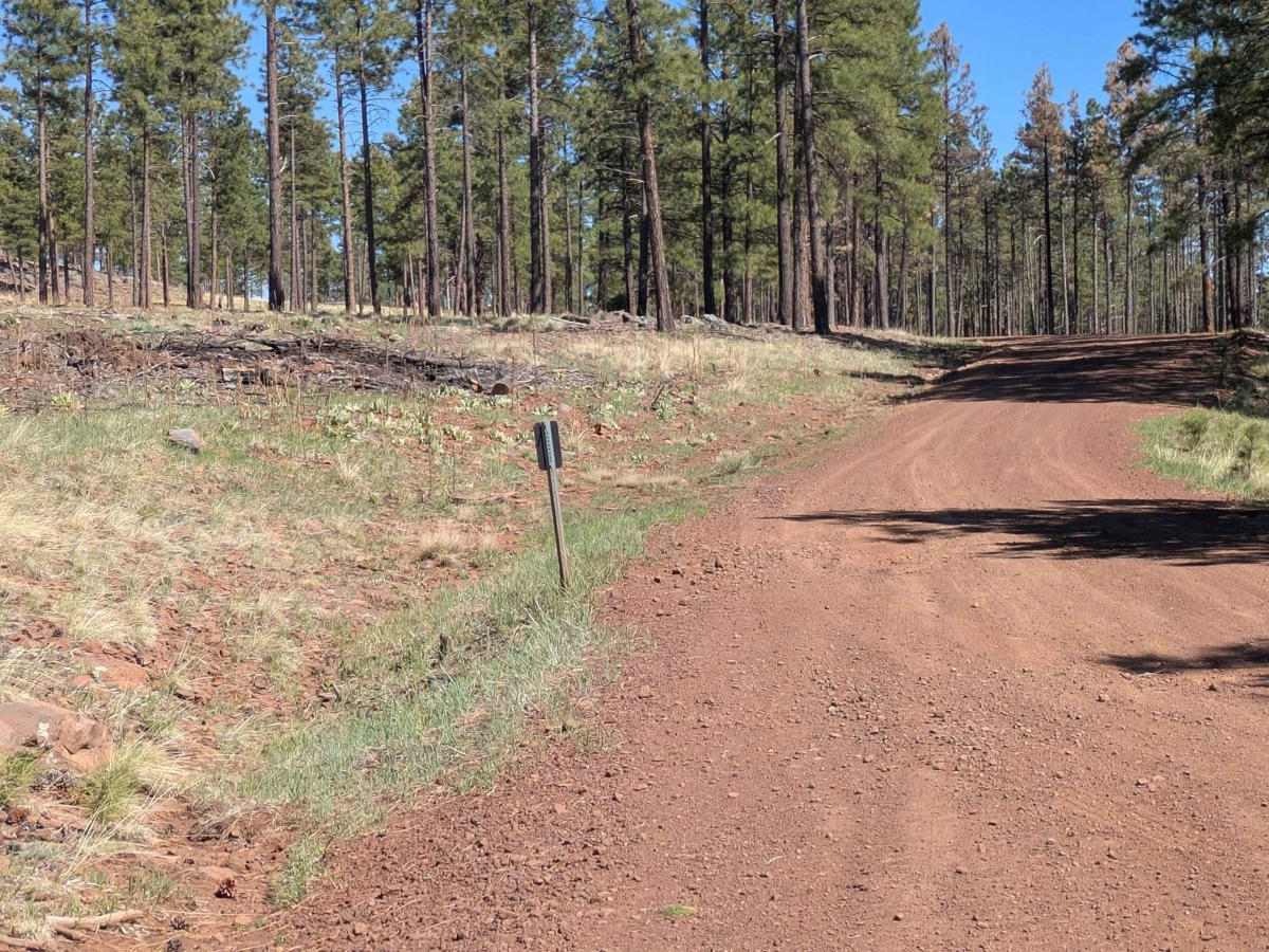 A1 Mountain Road Loop - FS 918B photo 5