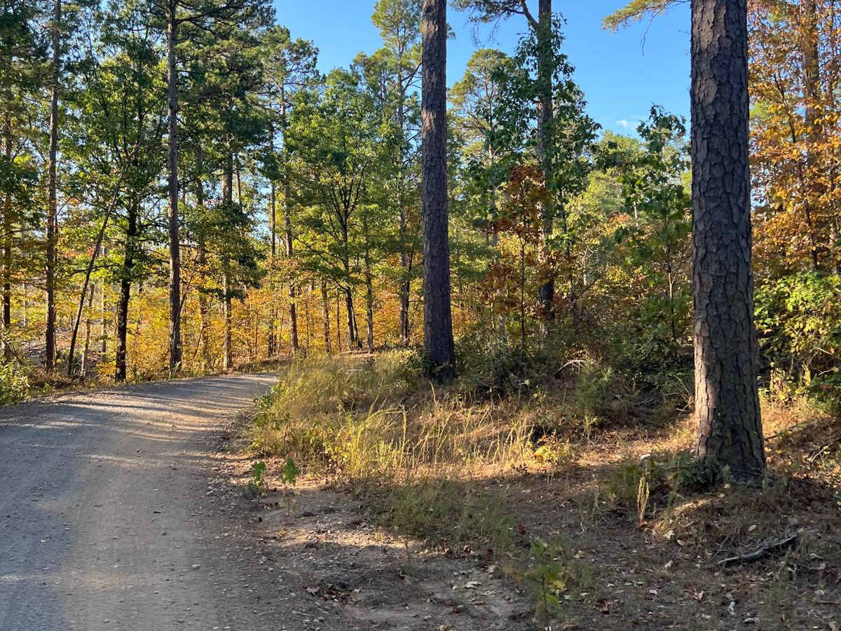 Nunley Road trail photo