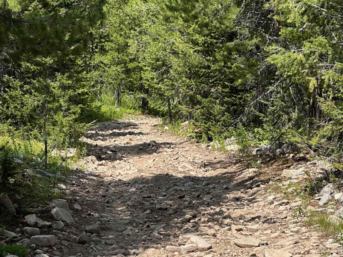 Shale Creek - Kinney Creek Loop photo 6