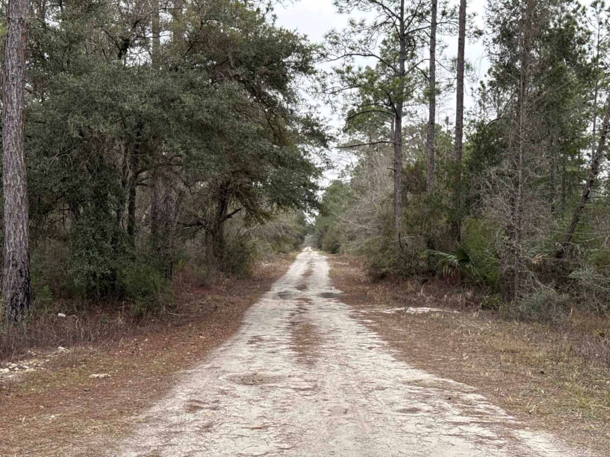 Tucker Road trail photo