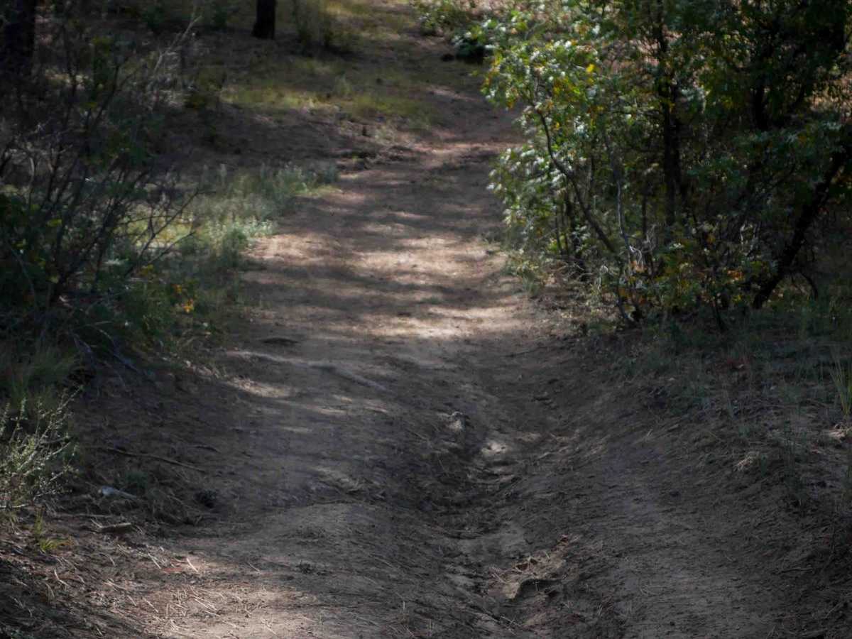Skimmer Trail photo 6
