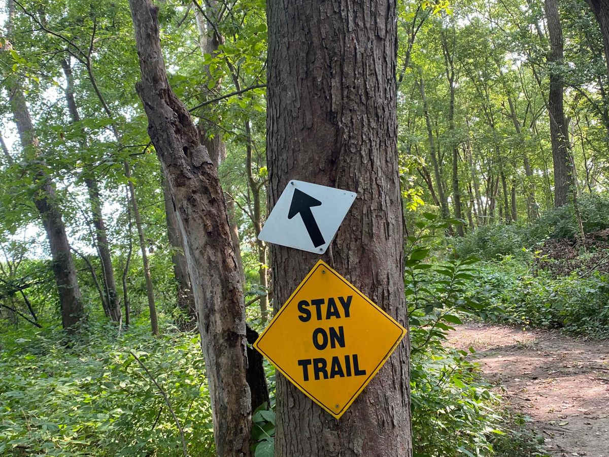 Turtle Trail photo 5