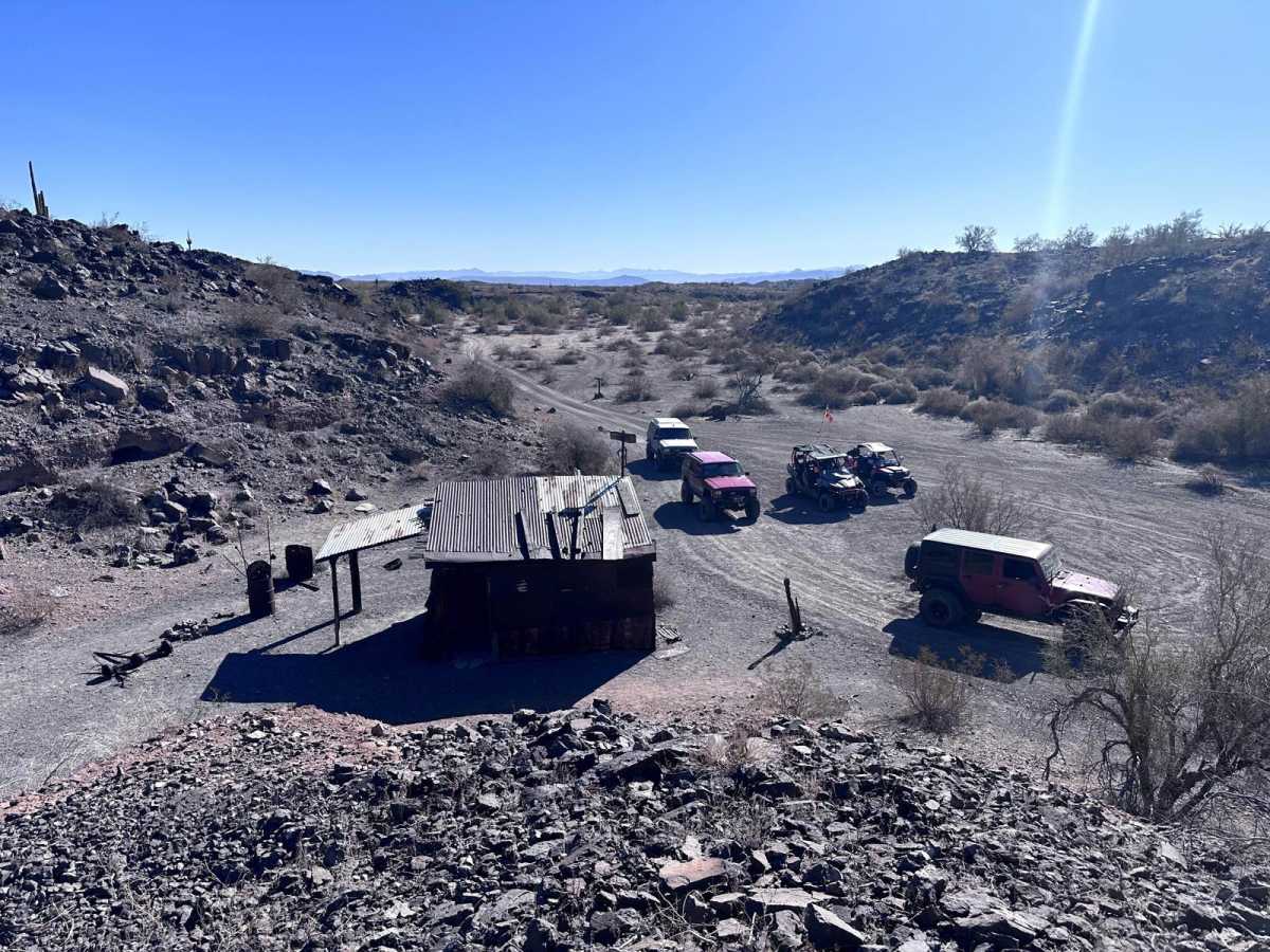 Lower Mohave Wash photo 6