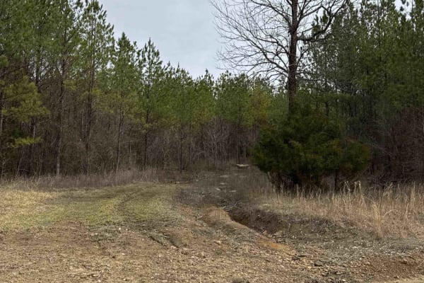 #7d Diamondback - Easy Out Lower