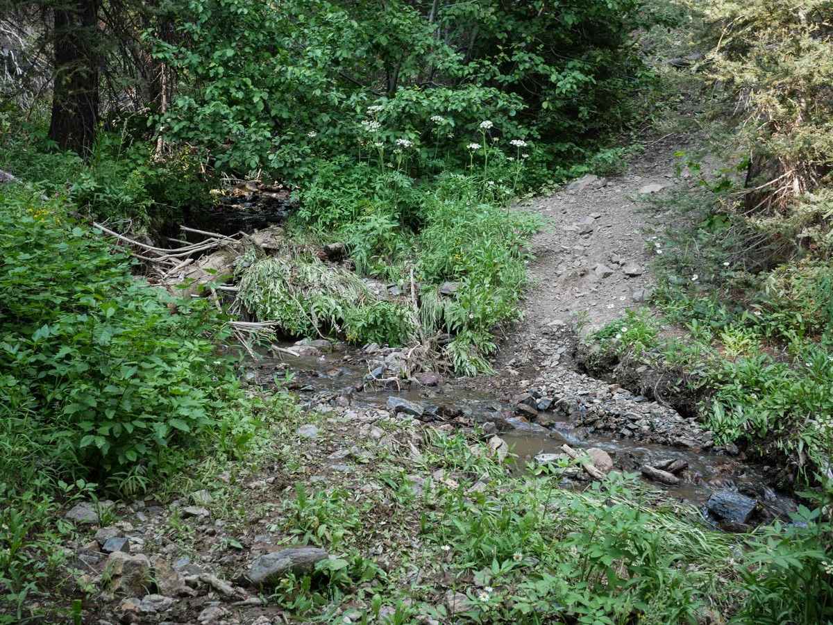 Peach Cinnabar/ Peach Creek photo 3