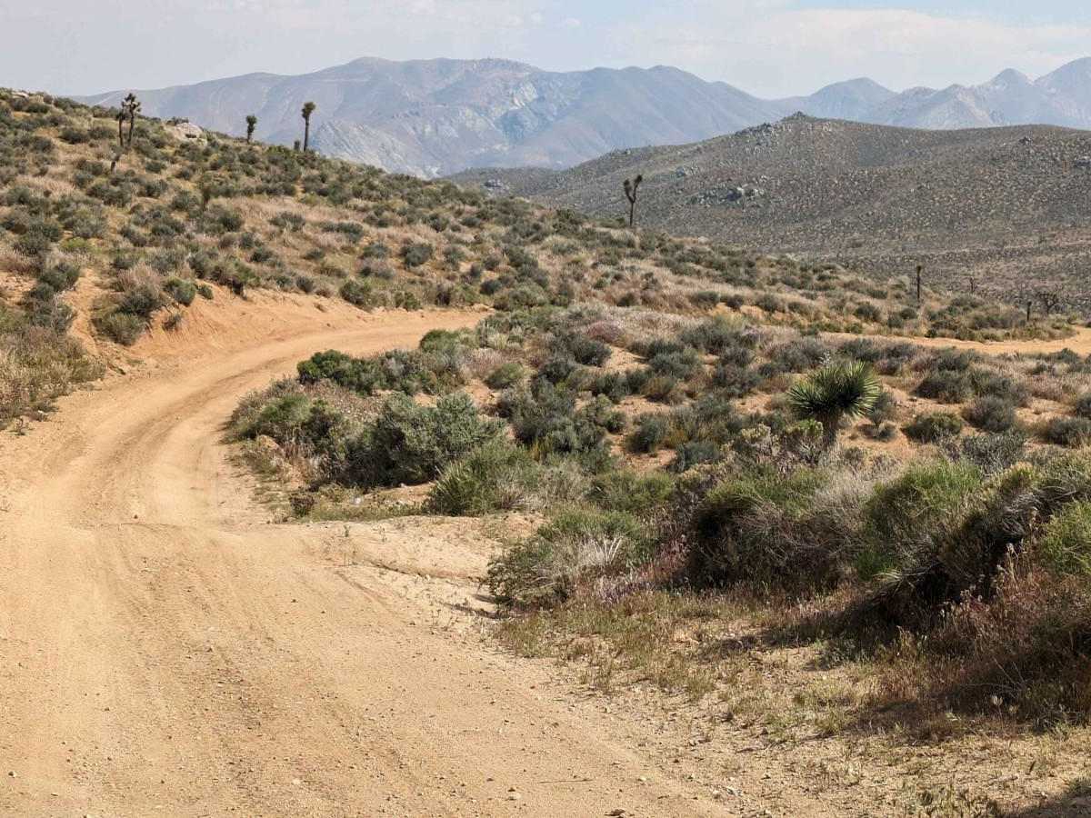 SC251 Jawbone Road to Gold Canyon Road trail photo