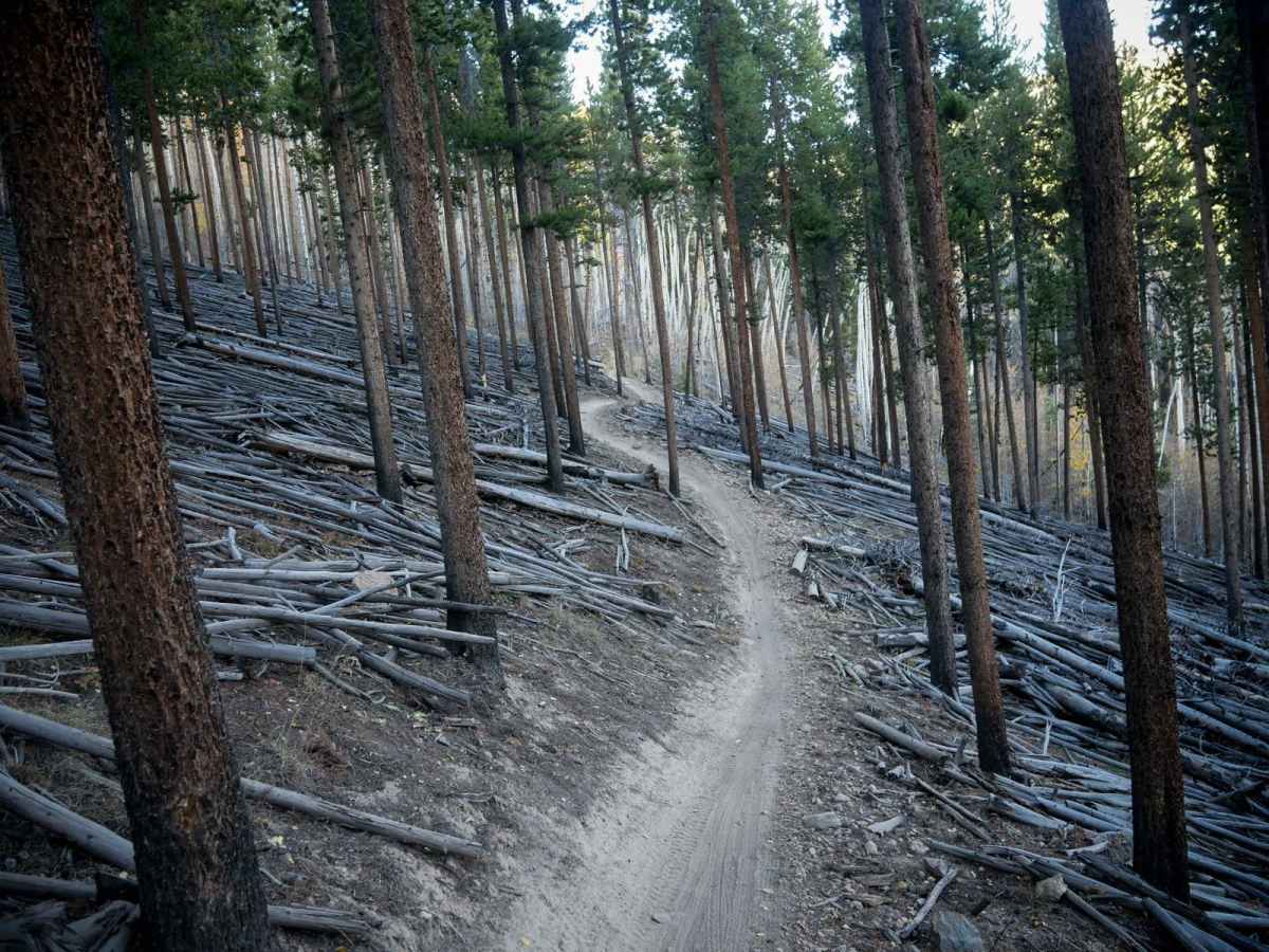 Wide Open trail photo