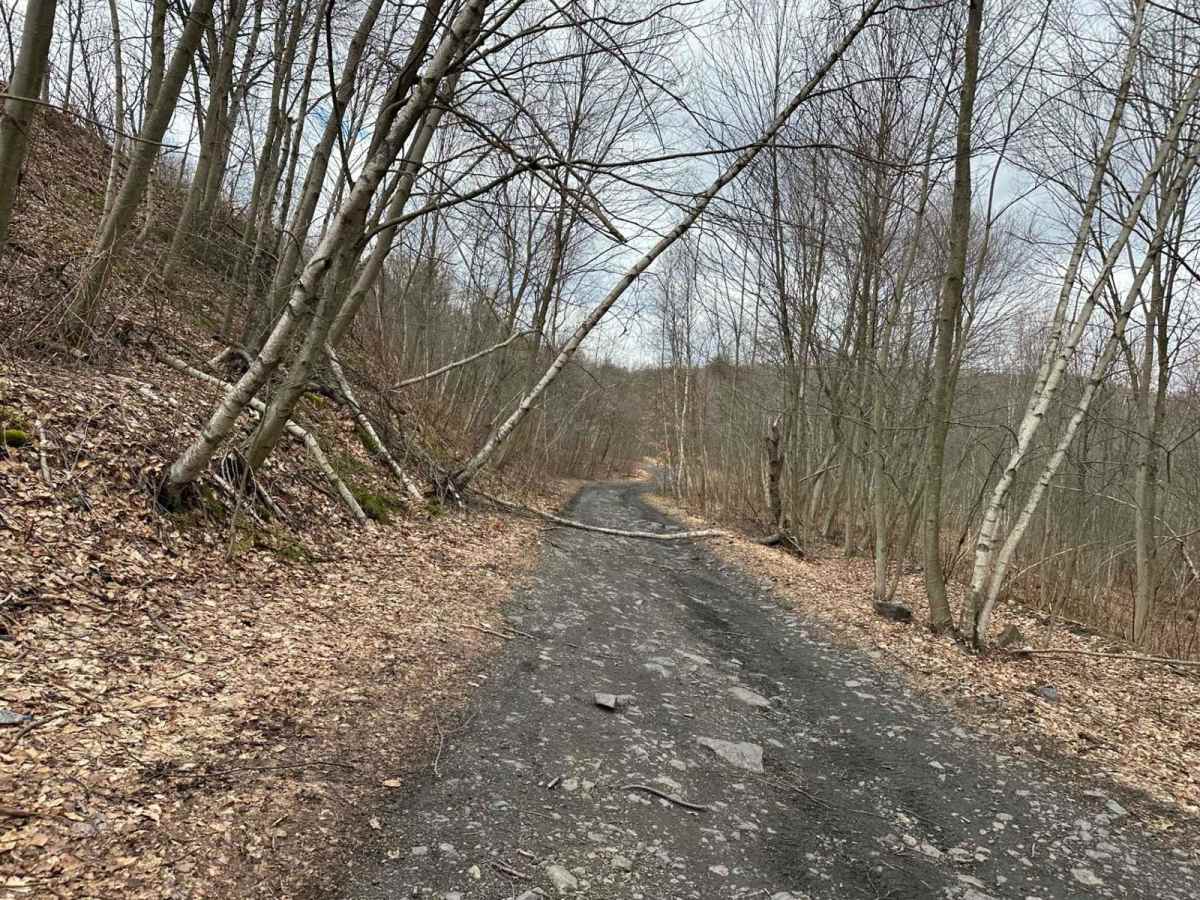 Pennsyl Tucky Highway photo 2