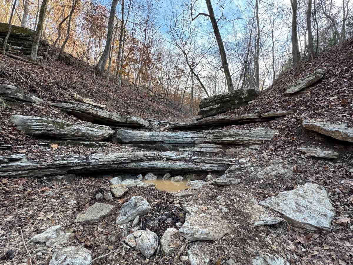 Hixon Hollow 177 photo 4
