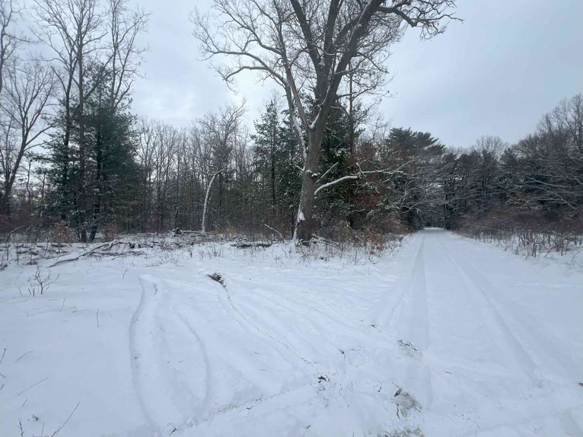 ASG Trail photo 5
