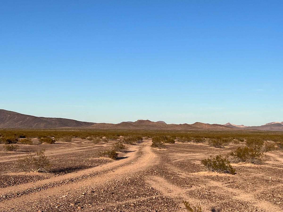 Cow Tracks trail photo