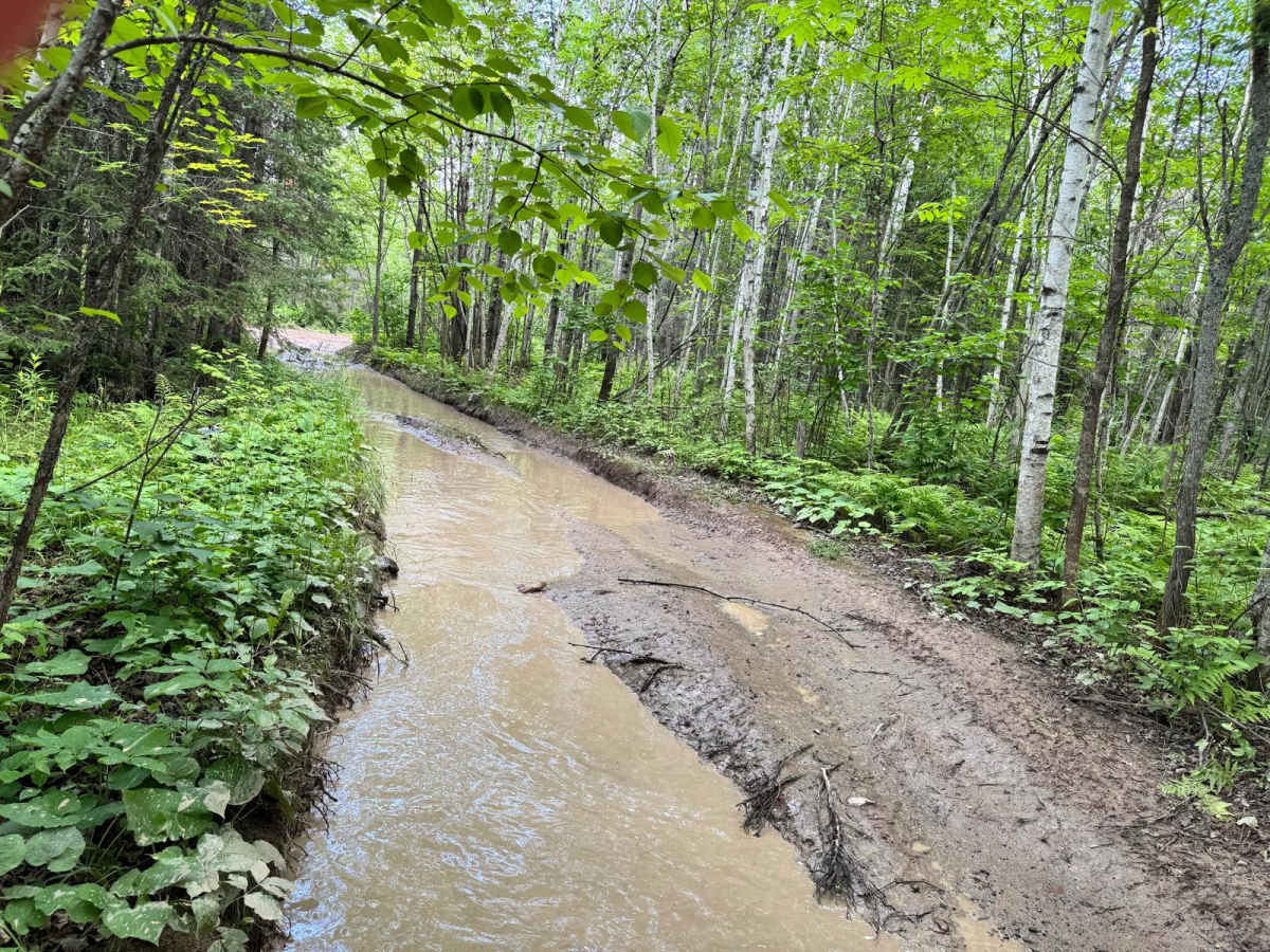 Mud Crawl photo 4