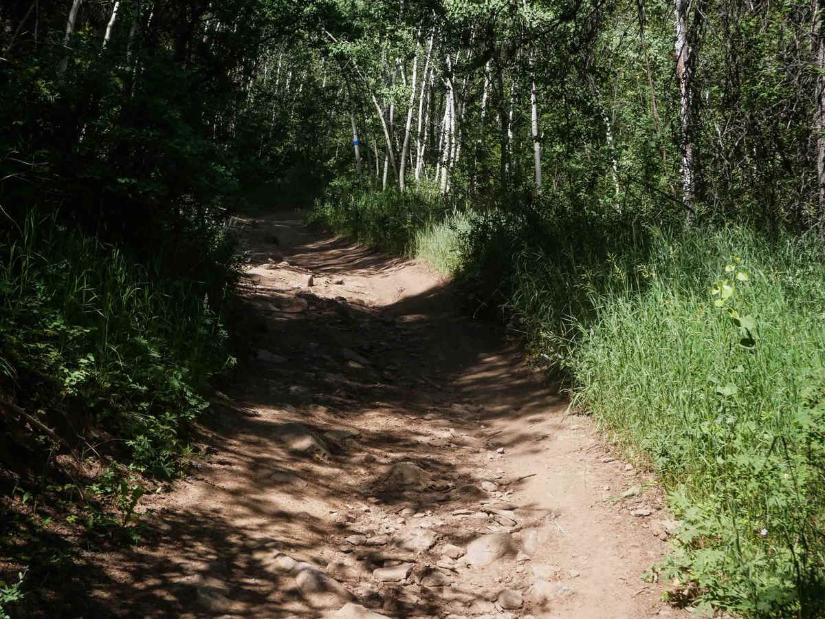Trail Canyon East #5250  photo 5