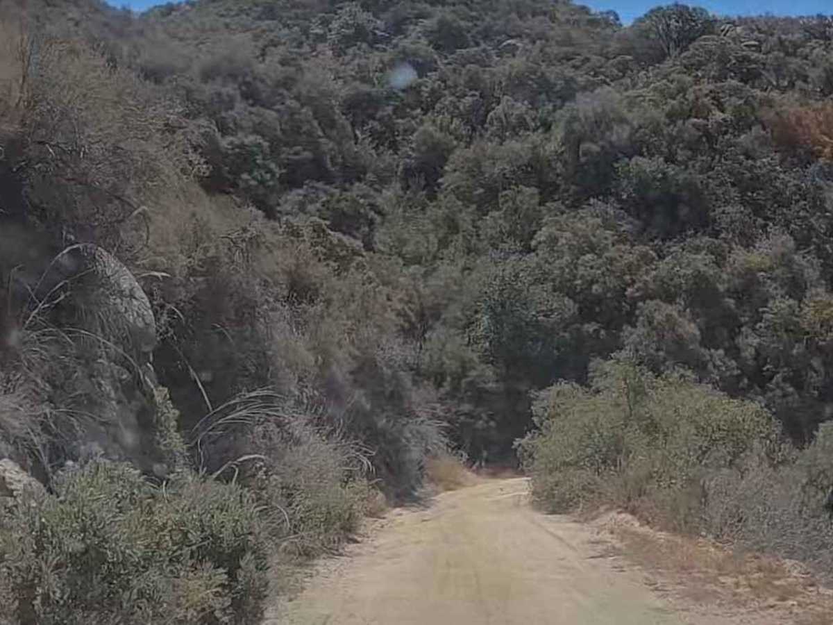 5S06 Idyllwild Control photo 5