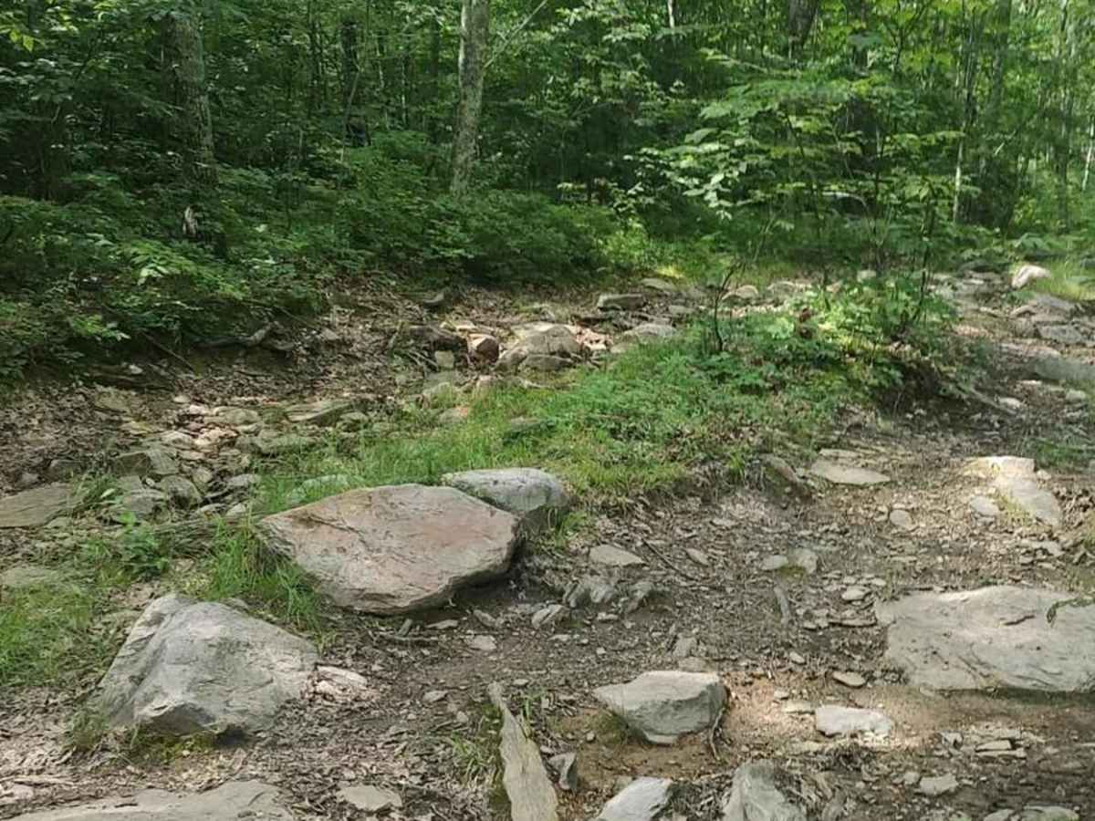 Old Military Road/TH-35 photo 2