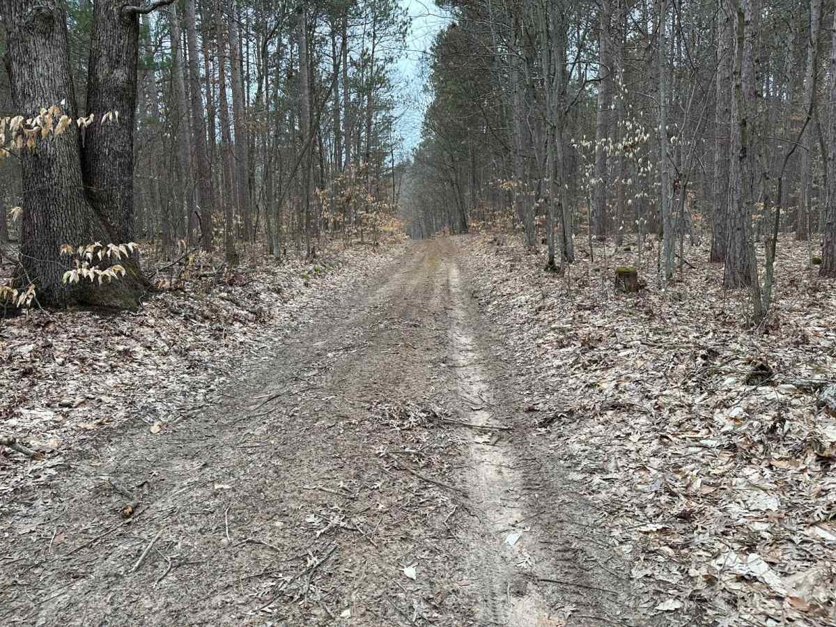 Mud Slide - FS 5011 photo 5