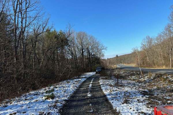 Locust Gap 57