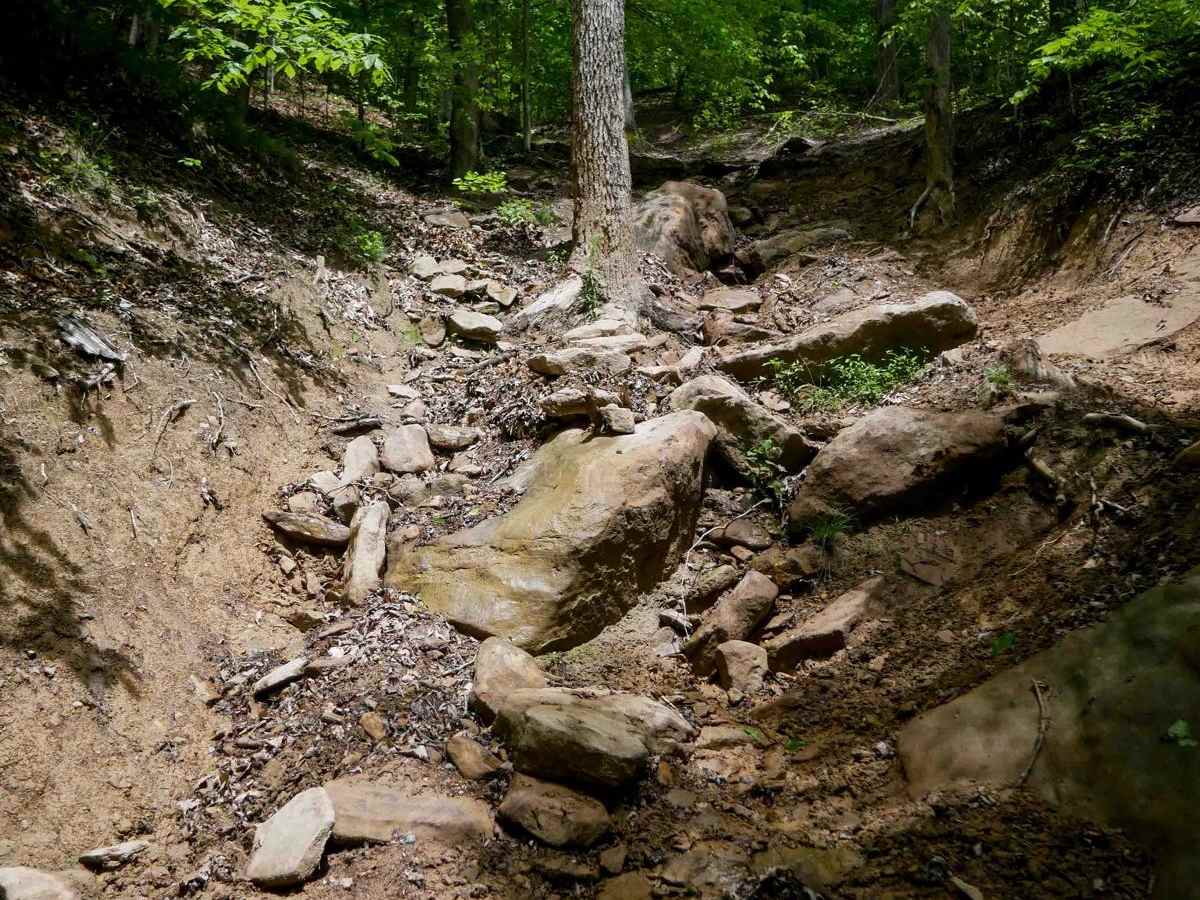 IB 82 trail photo