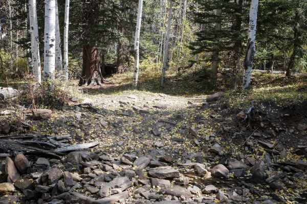 Spring Creek ATV Trail (East)