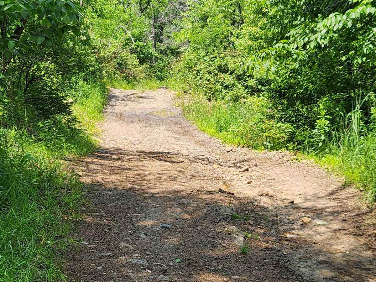 Trail 13E- Rock Run Recreation photo 3