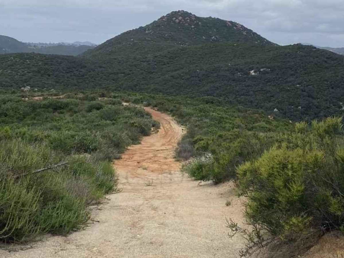 11S03 Lusardi Truck Trail trail photo