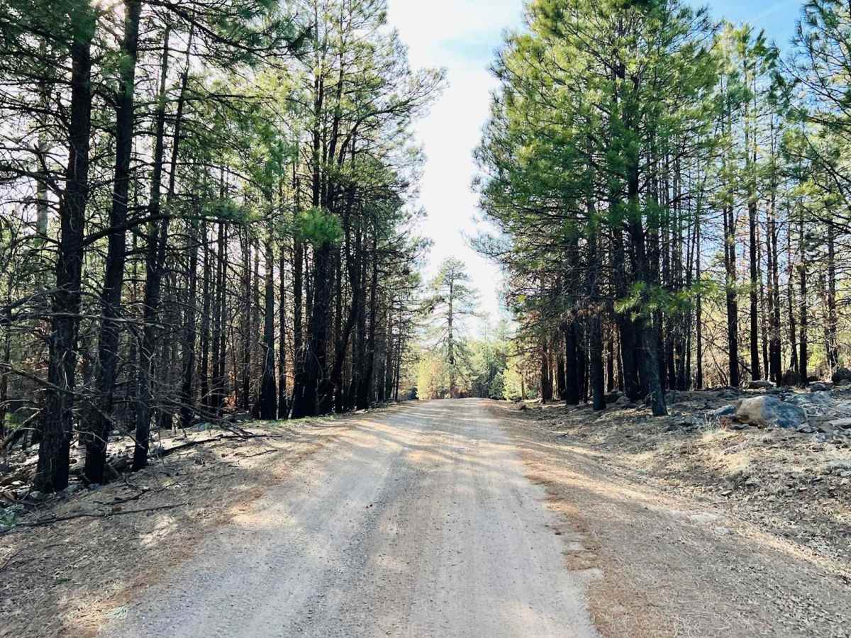 FR-144 photo 2