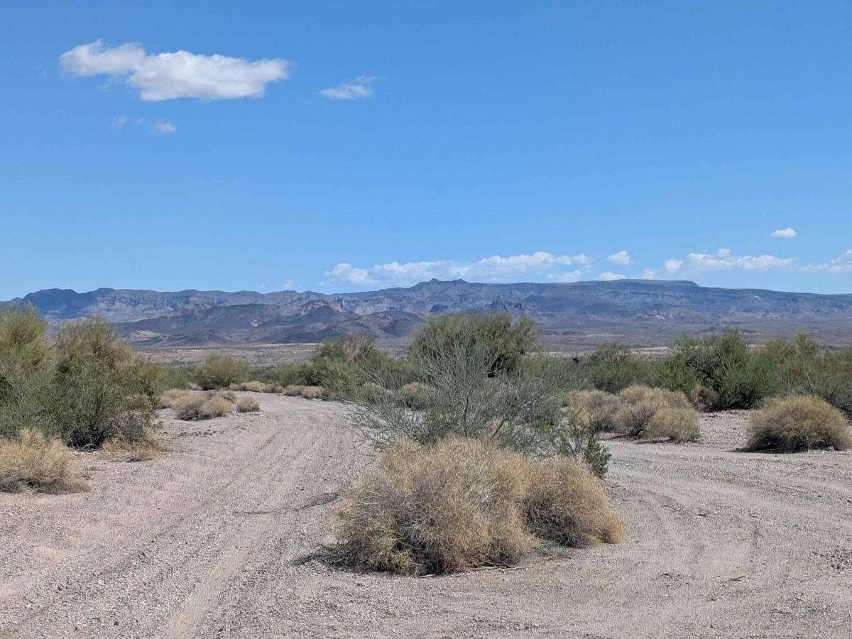 HM 127 trail photo