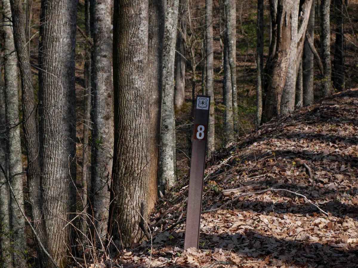 Sawmill Bottoms Trail 8 photo 2